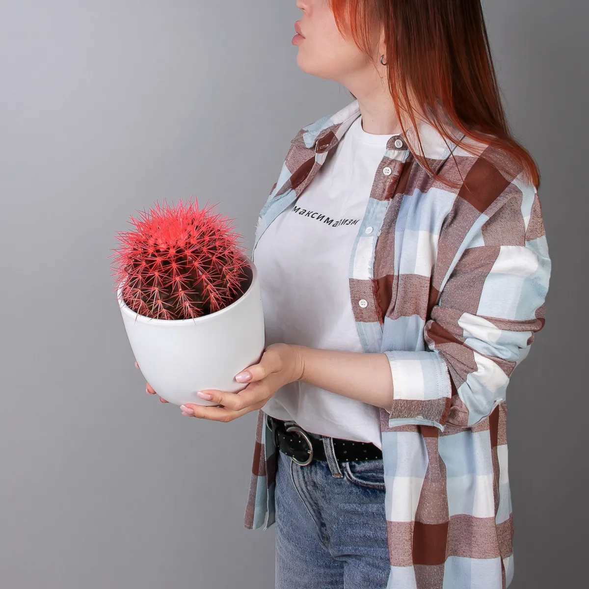 Эхинокактус Грузони крашеный микс_2