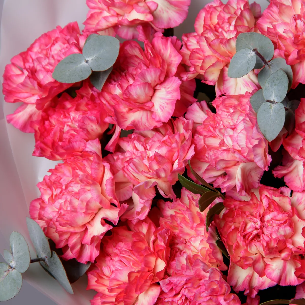 Флористический букет "Яркие диантусы"_4