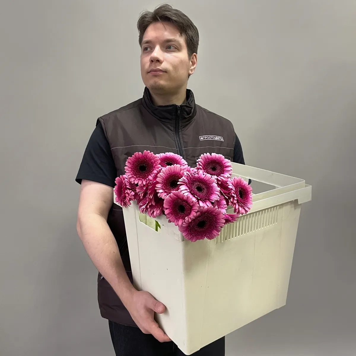 Гермини "Изабель"_2