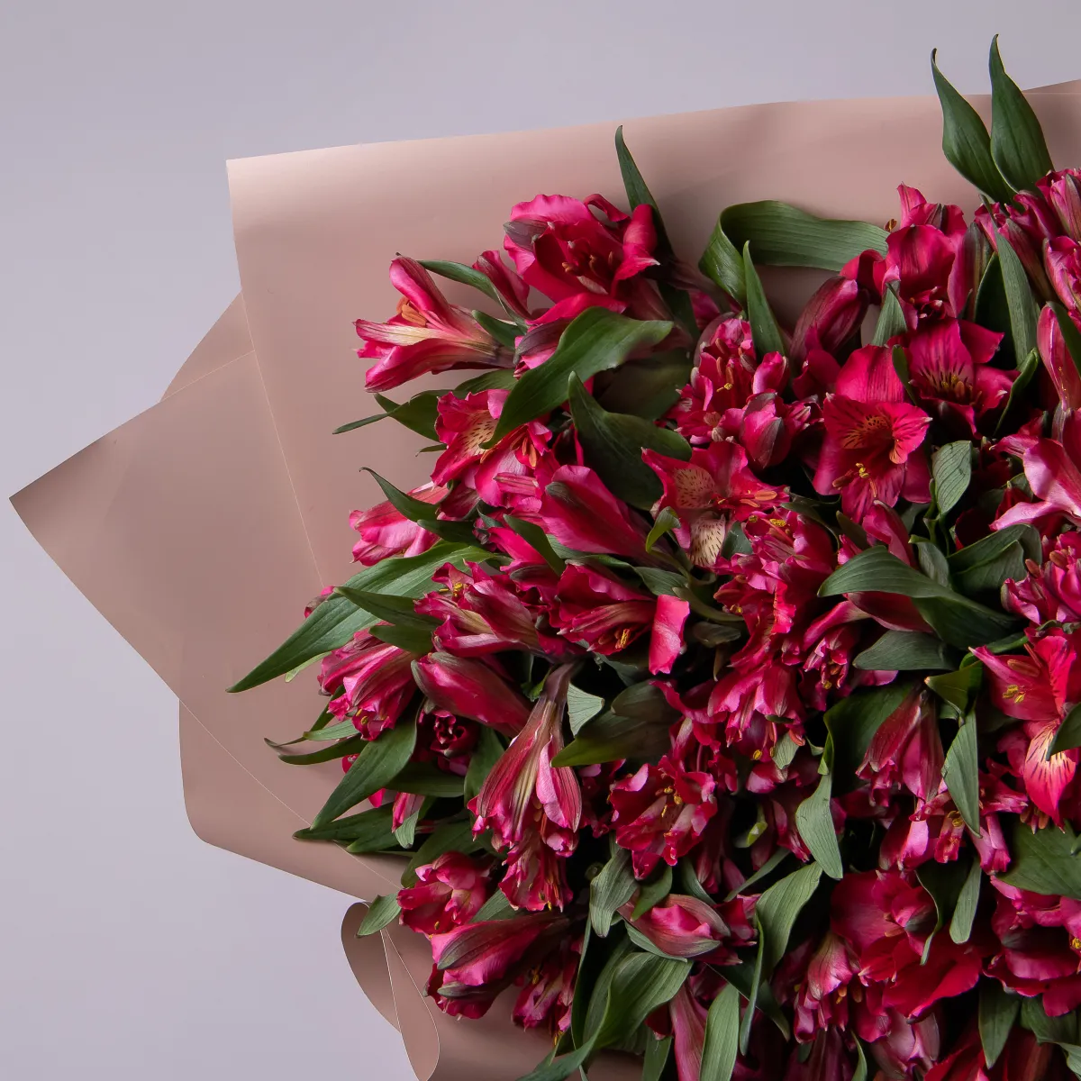 Букет Альстромерия "Красная"_3