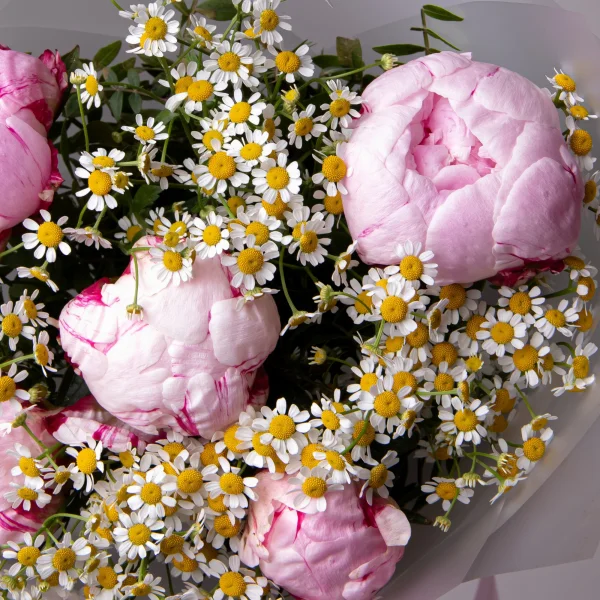 Флористический букет "Дуобукет из розовых пионов и ромашки"_4