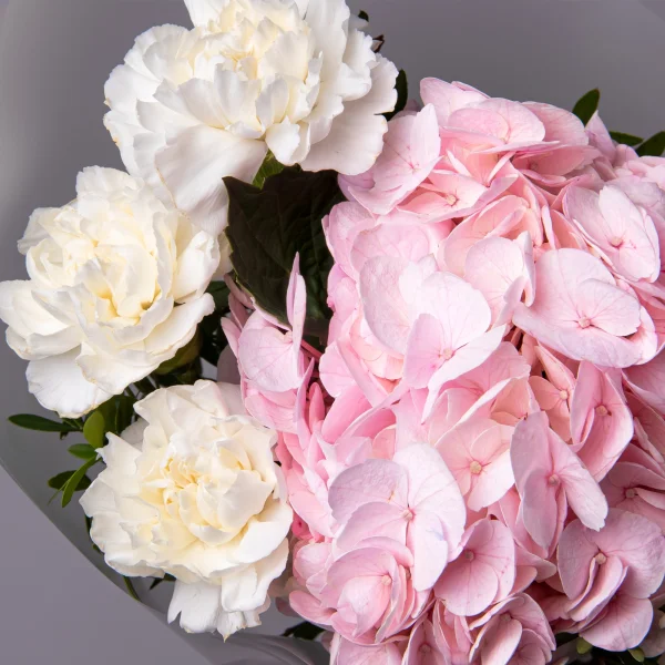 Флористический букет "Дуобукет из розовой гортензии и белых диантусов"_4