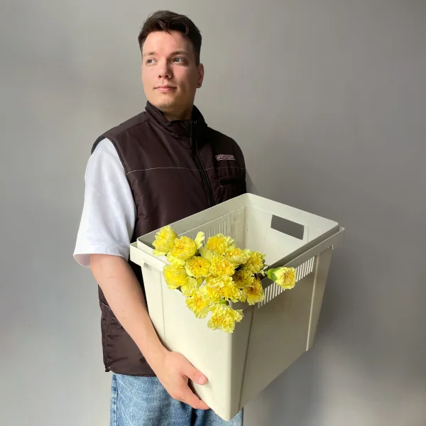 Гвоздика "Сплендор"_2