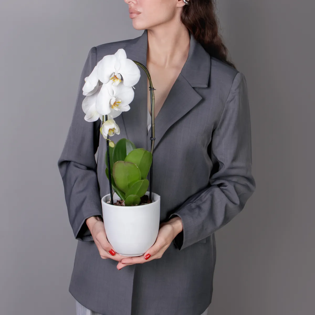 Фаленопсис Токио каскад белый 1 ст _2