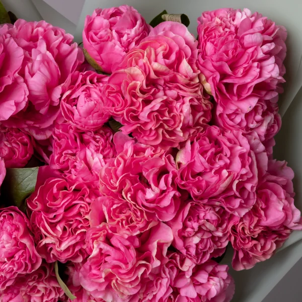 Букет Пион "Корнейшн"_4