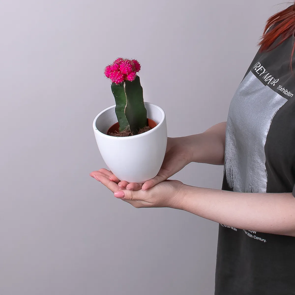 Гимнокалициум Розовый_2