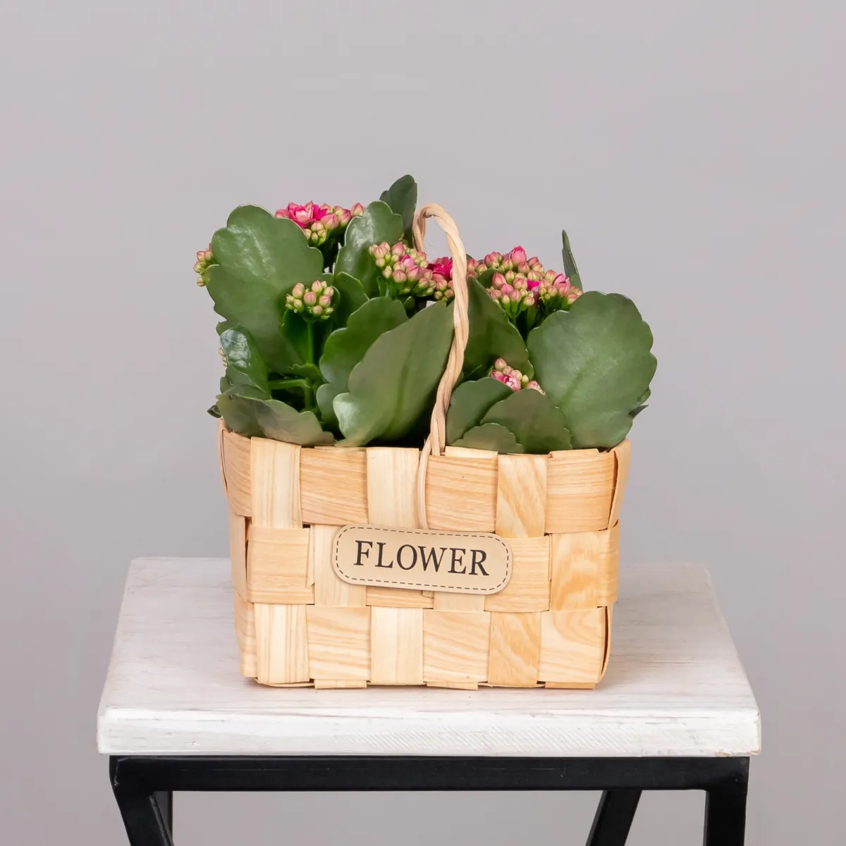 Каланхое Мини Микс в натуральной корзине_1