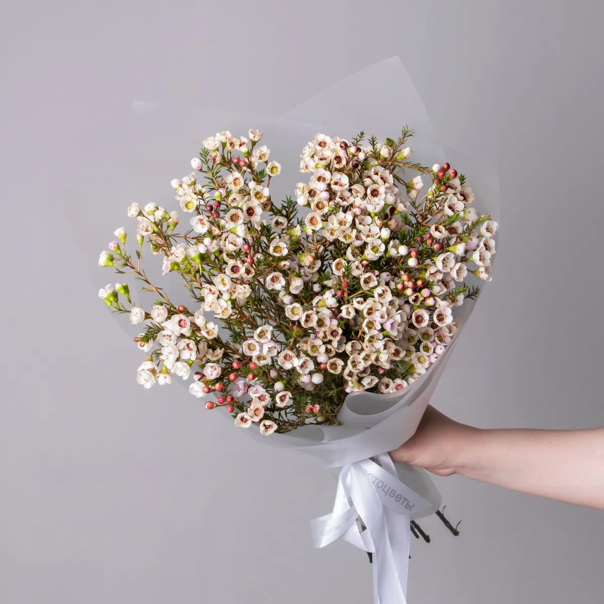 Букет Хамелациум "Белый"_1