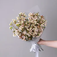 Букет Хамелациум 