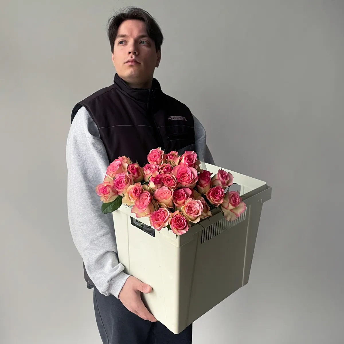 Роза "Соверен"_2