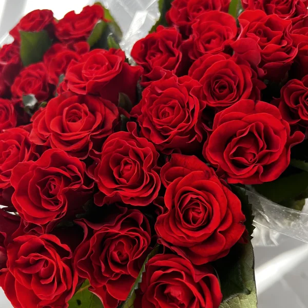 Роза "Эль Торро"