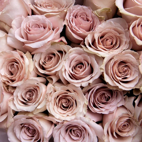 Букет Роза "Квик Санд" 4