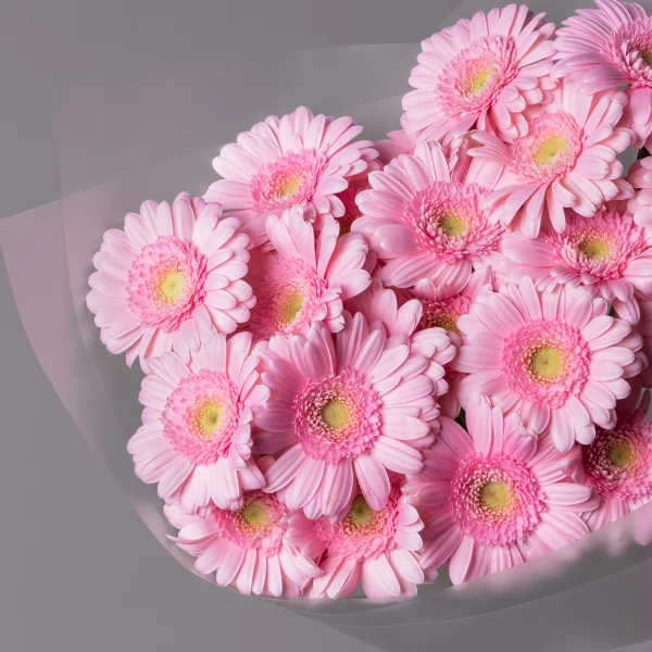 Букет Гермини "Кимси"_3