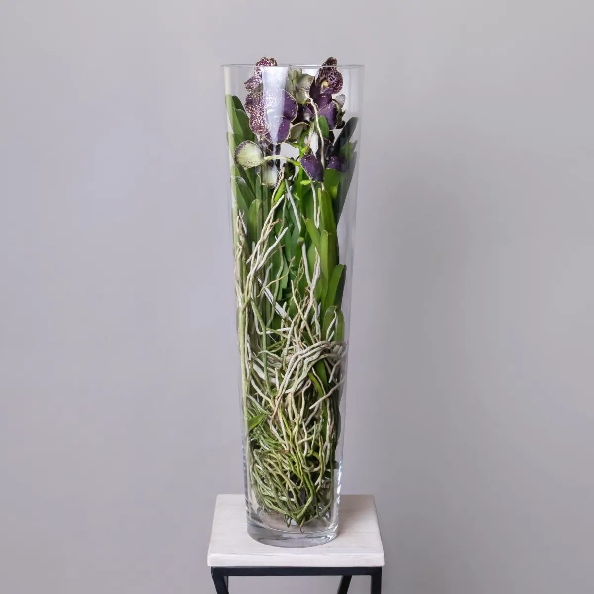 Ванда в стекле Мишель_1