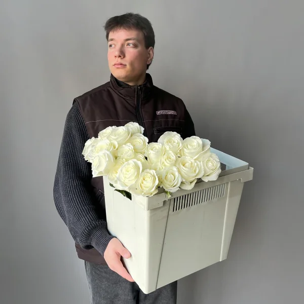 Роза "Тибет"_2