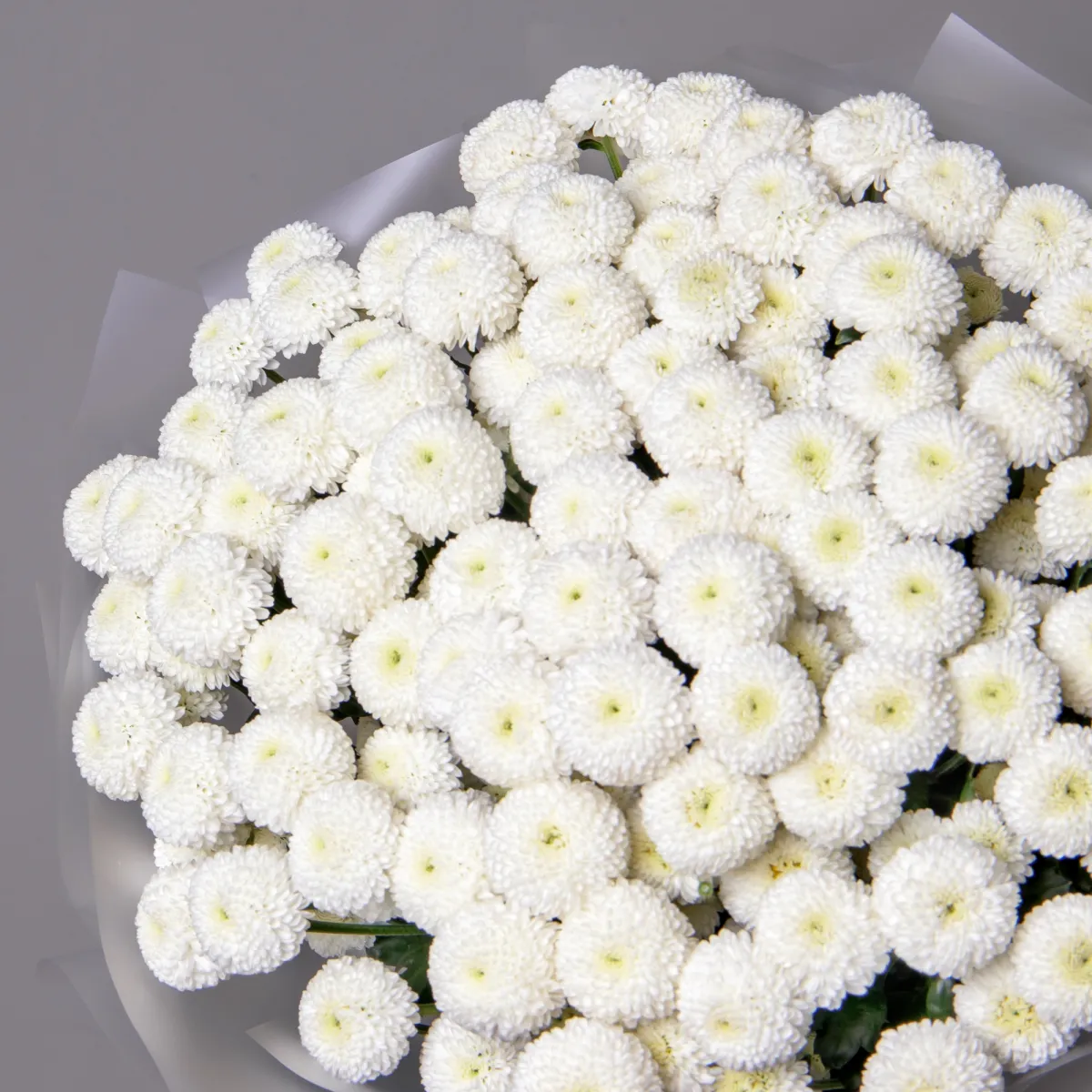 Букет Хризантема кустовая "Ньютон"_3