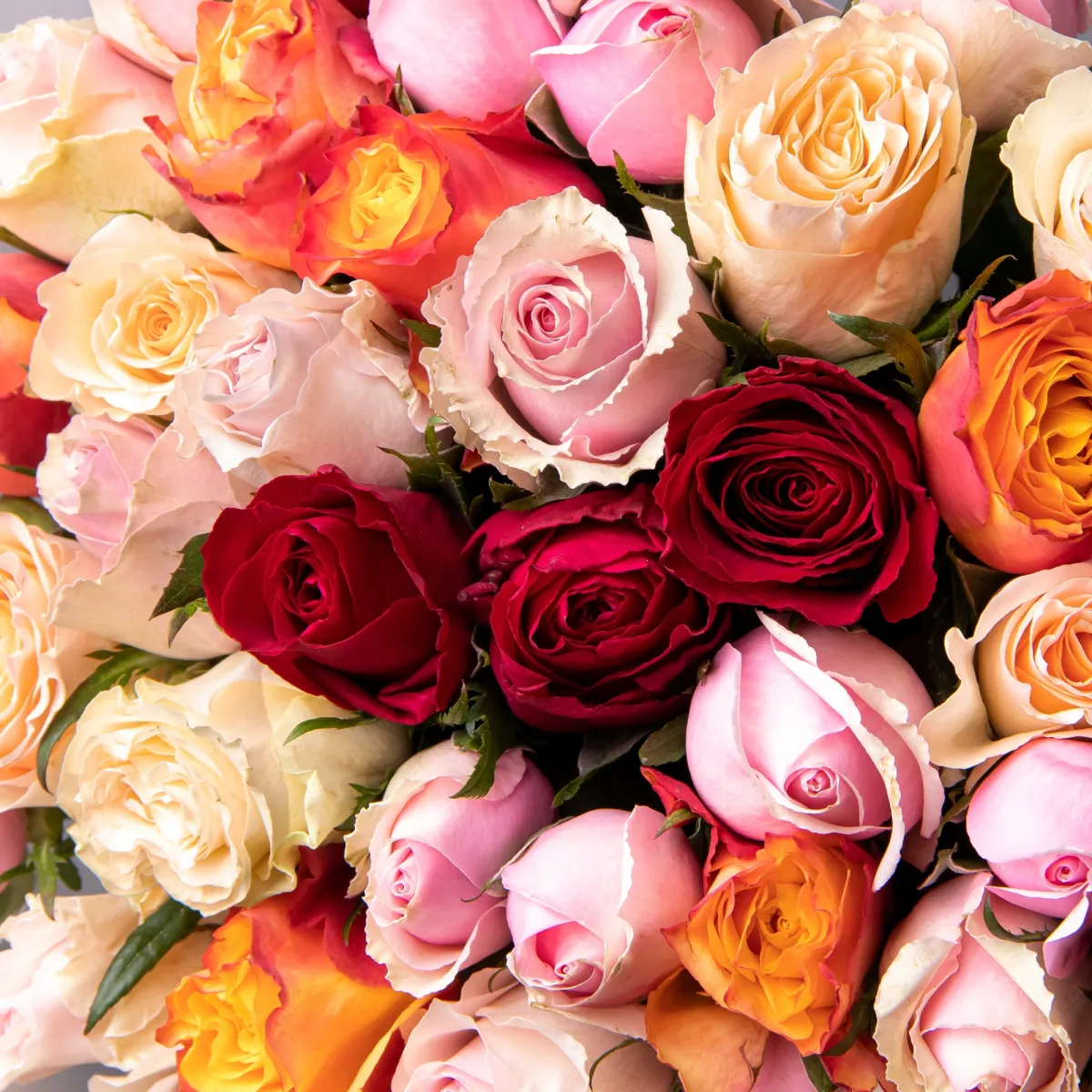 Букет Роза "Микс"_4