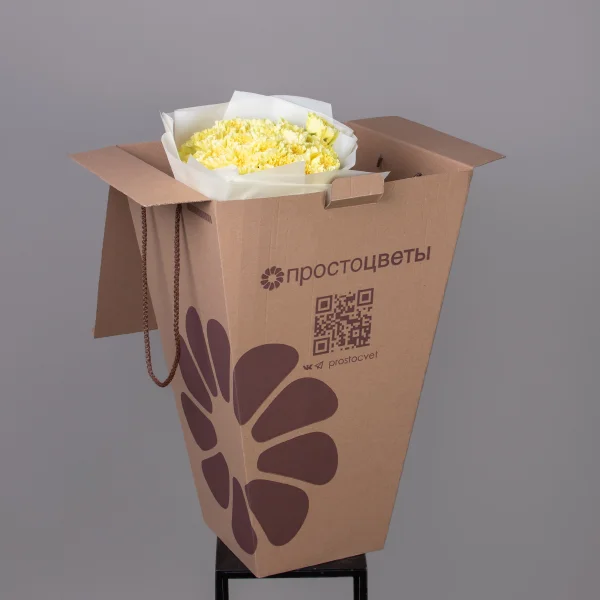 Букет Гвоздика "Сплендор"_4