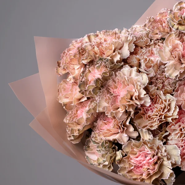 Букет Гвоздика "ПадиДарк"_3