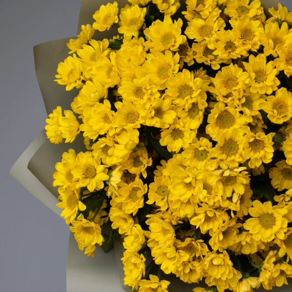 Букет Хризантема_сантини "Росси Санни"