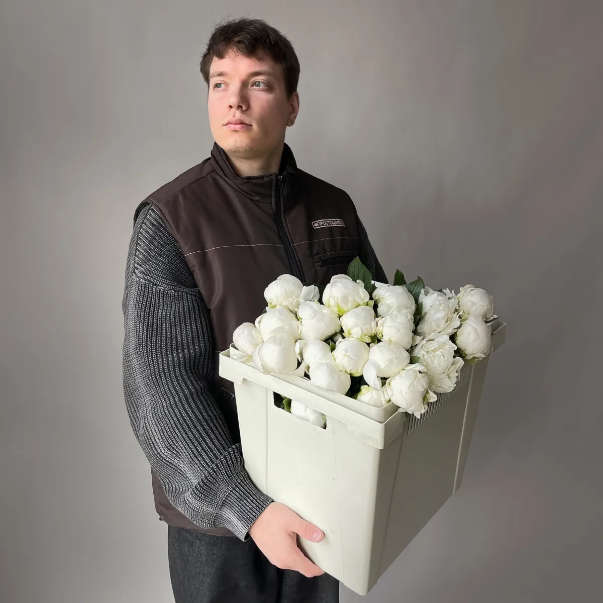 Пион "Клейд Тайн"_2