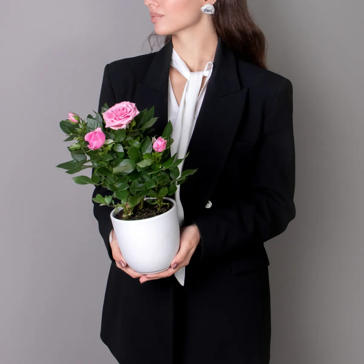 Роза Патио Каталина (розовая)_2