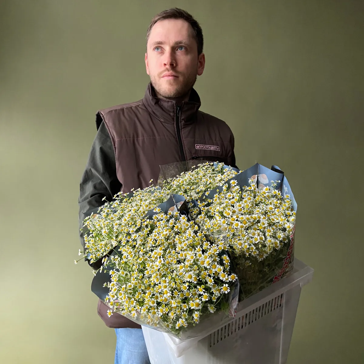 Матрекария "Сингл Вигмо"