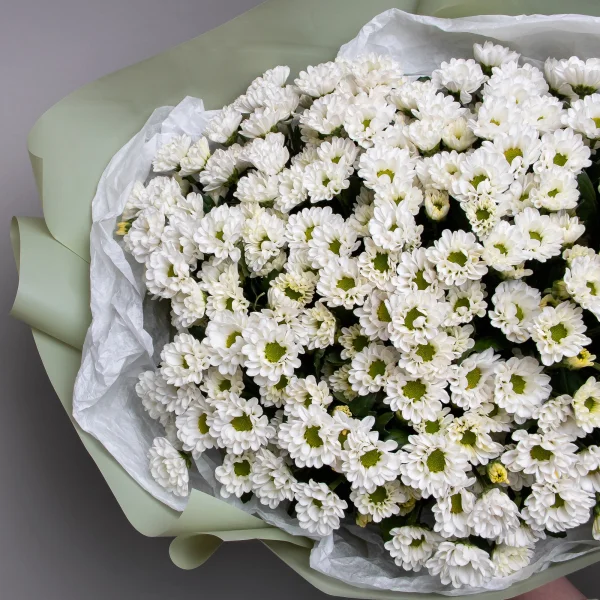 Букет Хризантема_сантини "Росси Вайт"
