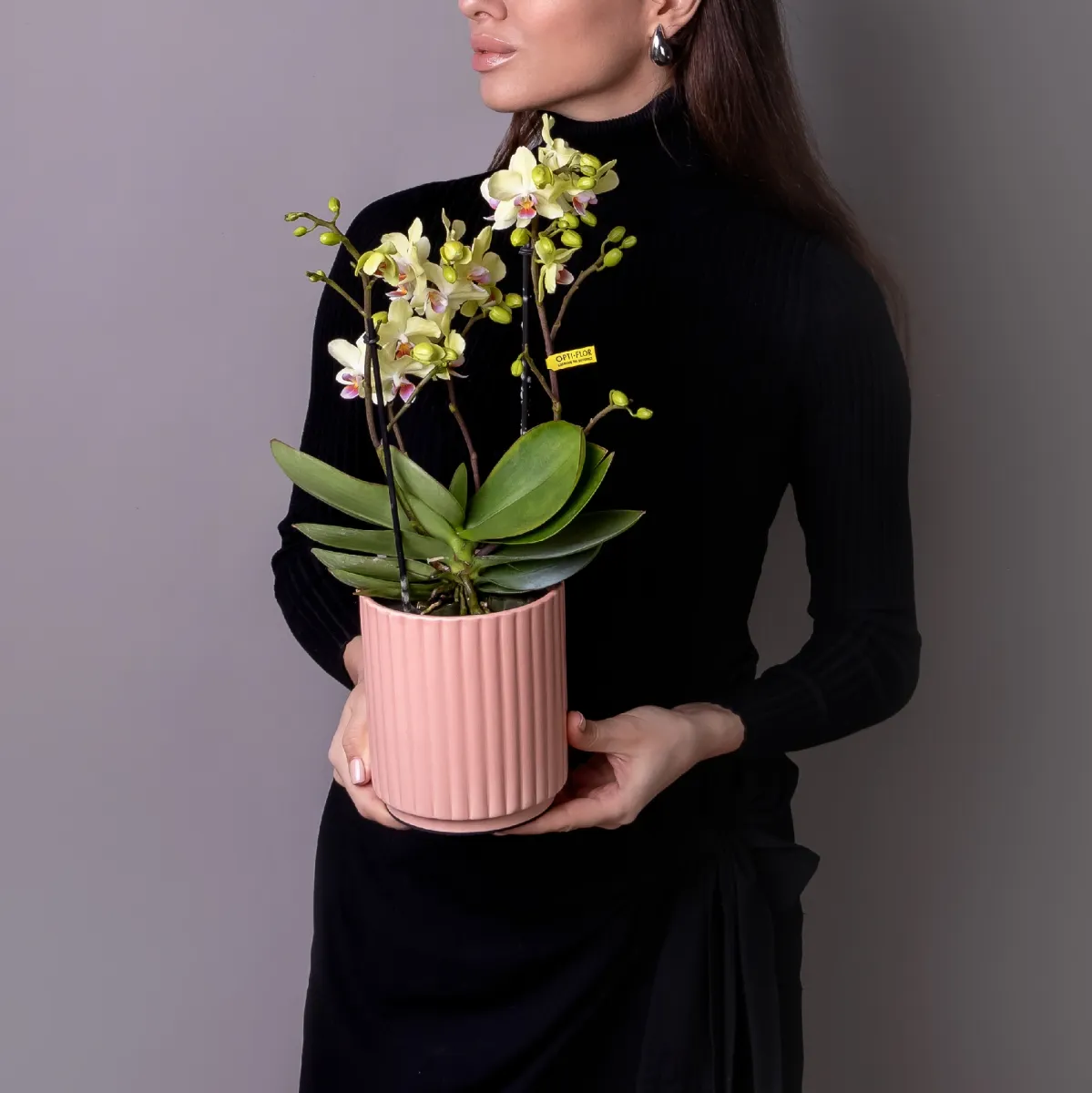 Фаленопсис Букет Лимонноый  в коралловой керамике_1