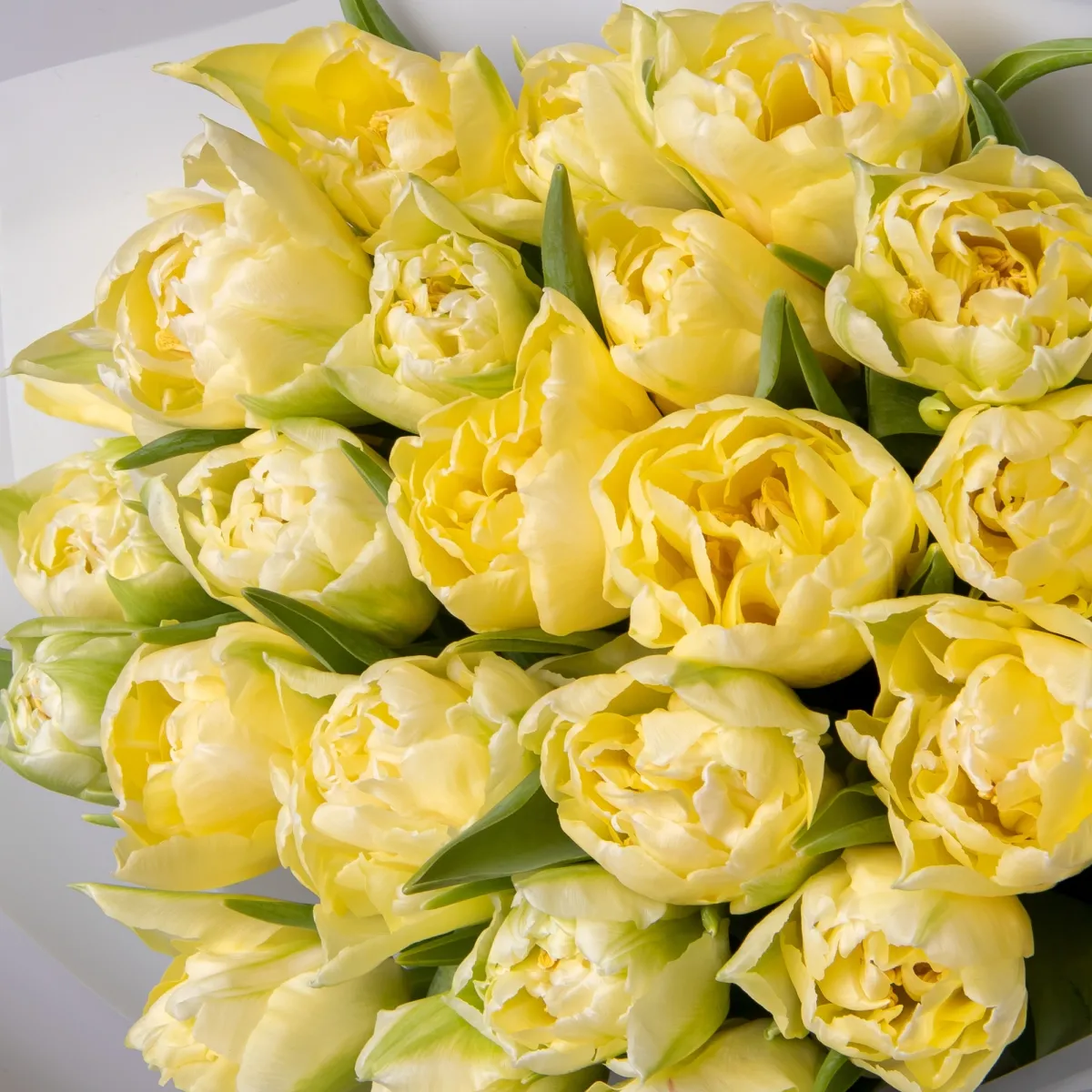Букет Тюльпан "Ду Верона"_4