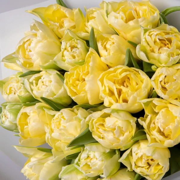 Букет Тюльпан "Ду Верона"_4