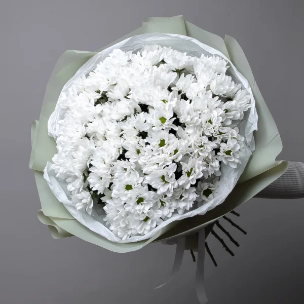 Букет Хризантема_кустовая "Шик" 1