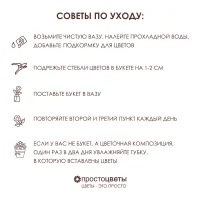я.инструкция