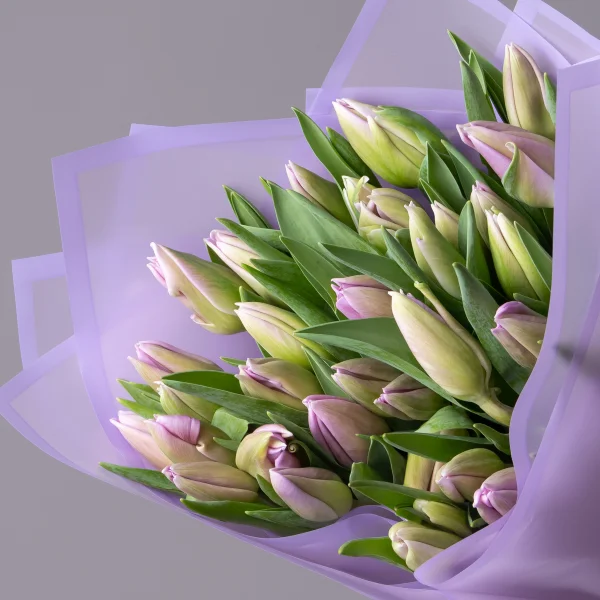 Букет Тюльпан "Эн Свит Бриз"_2