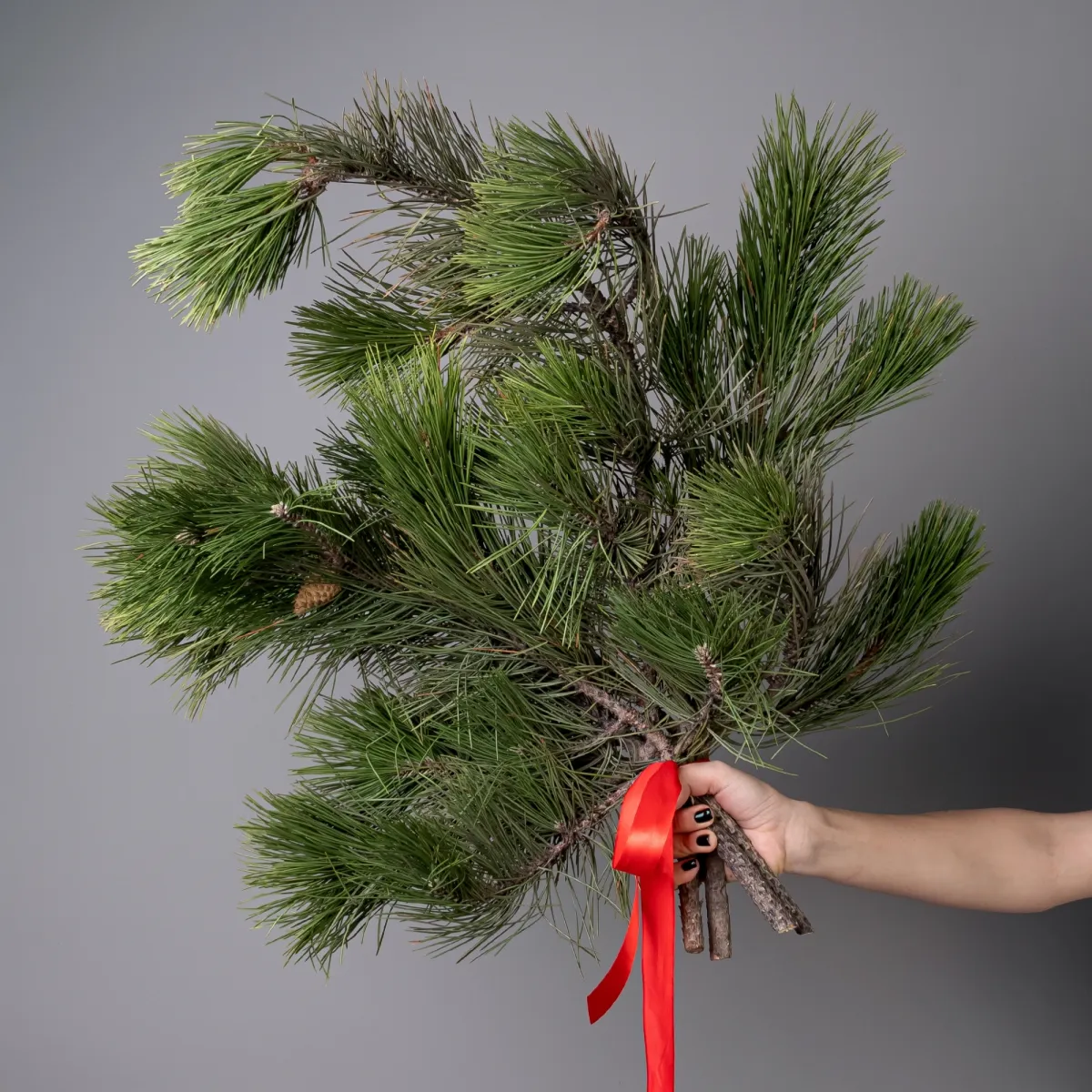 Букет Пинус "Зеленый"_1