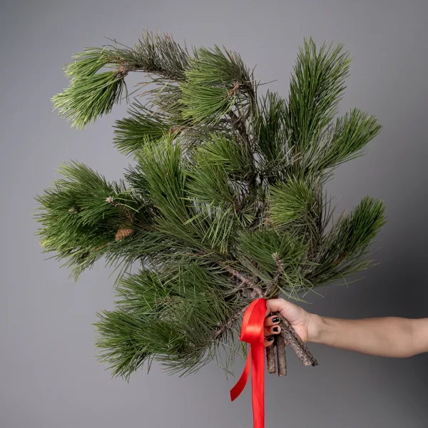 Букет Пинус "Зеленый"_1