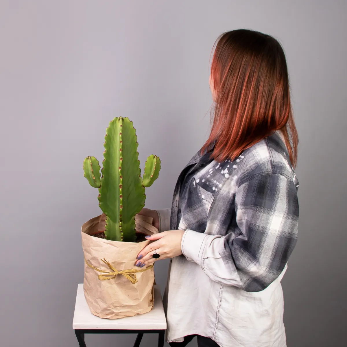 Эуфорбия Ингенс_2