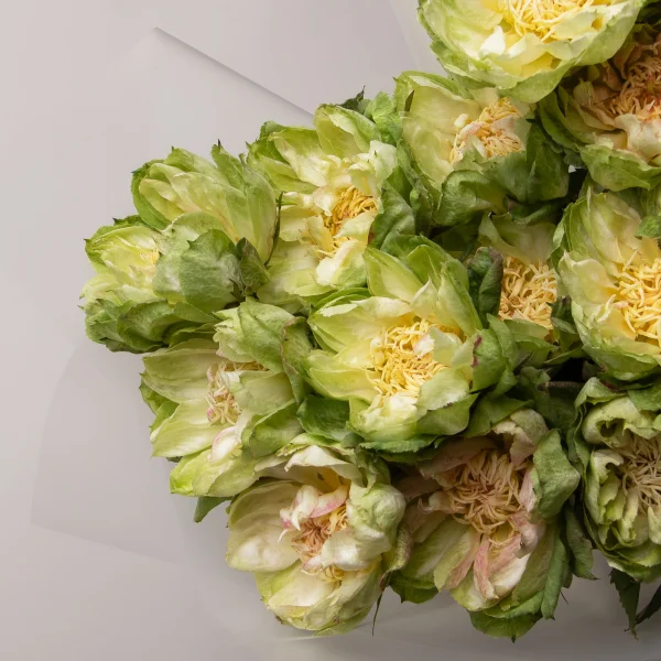 Букет Роза "Вегги"3