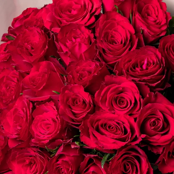 Флористический букет «Розы ПРОМО с фисташкой, красные, 35 стеблей»_4