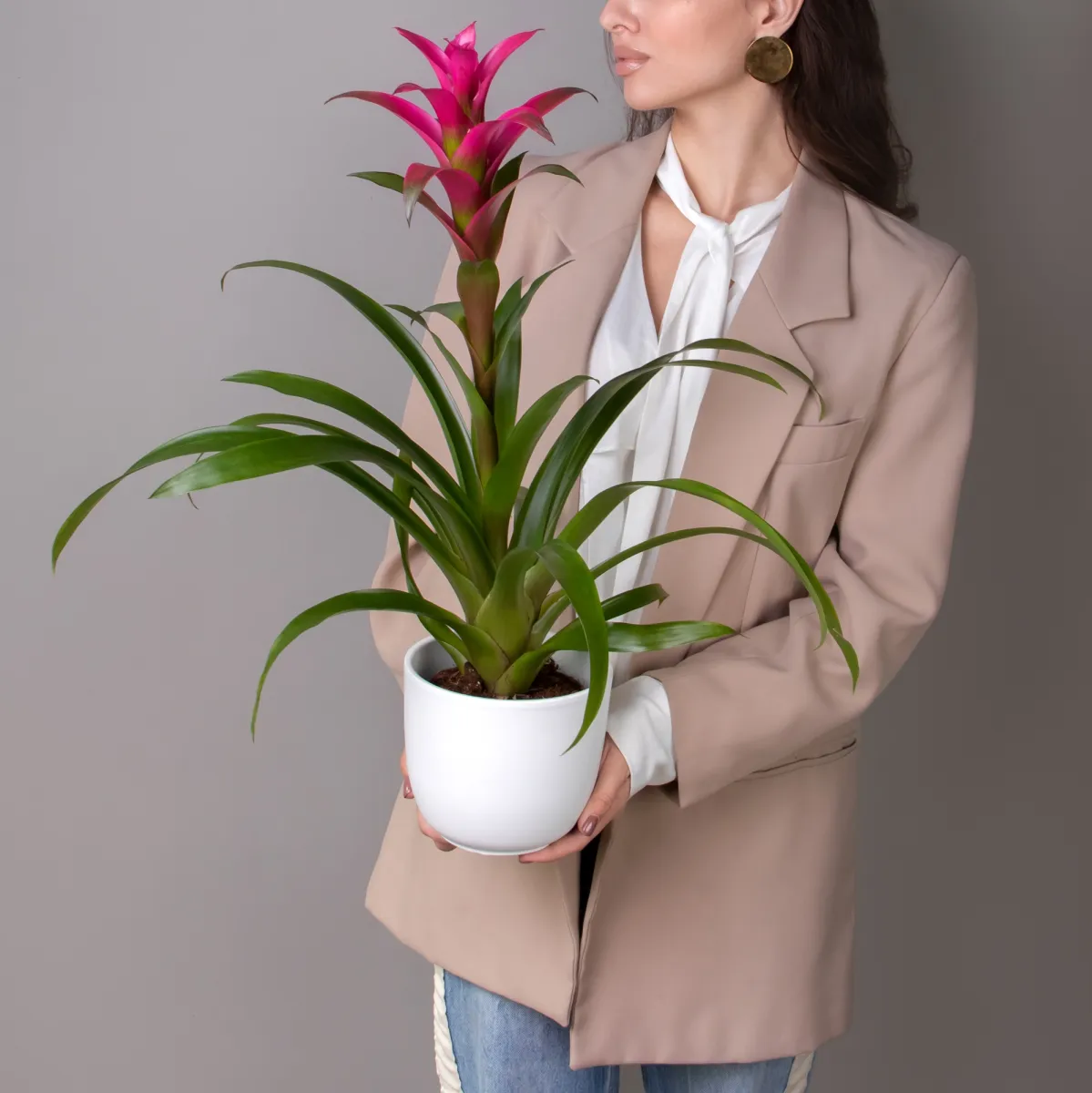 Гузмания Фрея_2