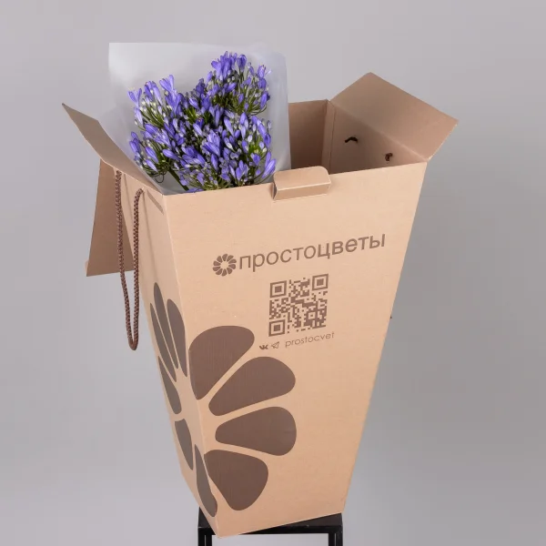 Букет Агапантус "Блу Ривер"_5