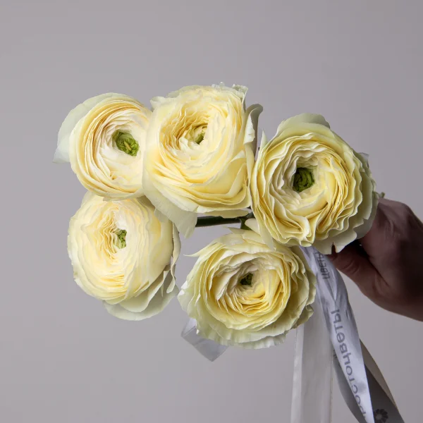 Букет Ранункулус "Клуни Ваниглия"