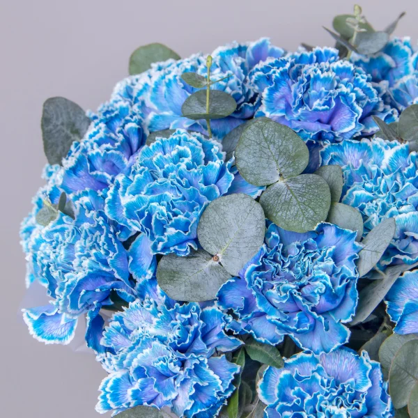 Композиция "Шляпная коробка Голубые Диантусы" М_3