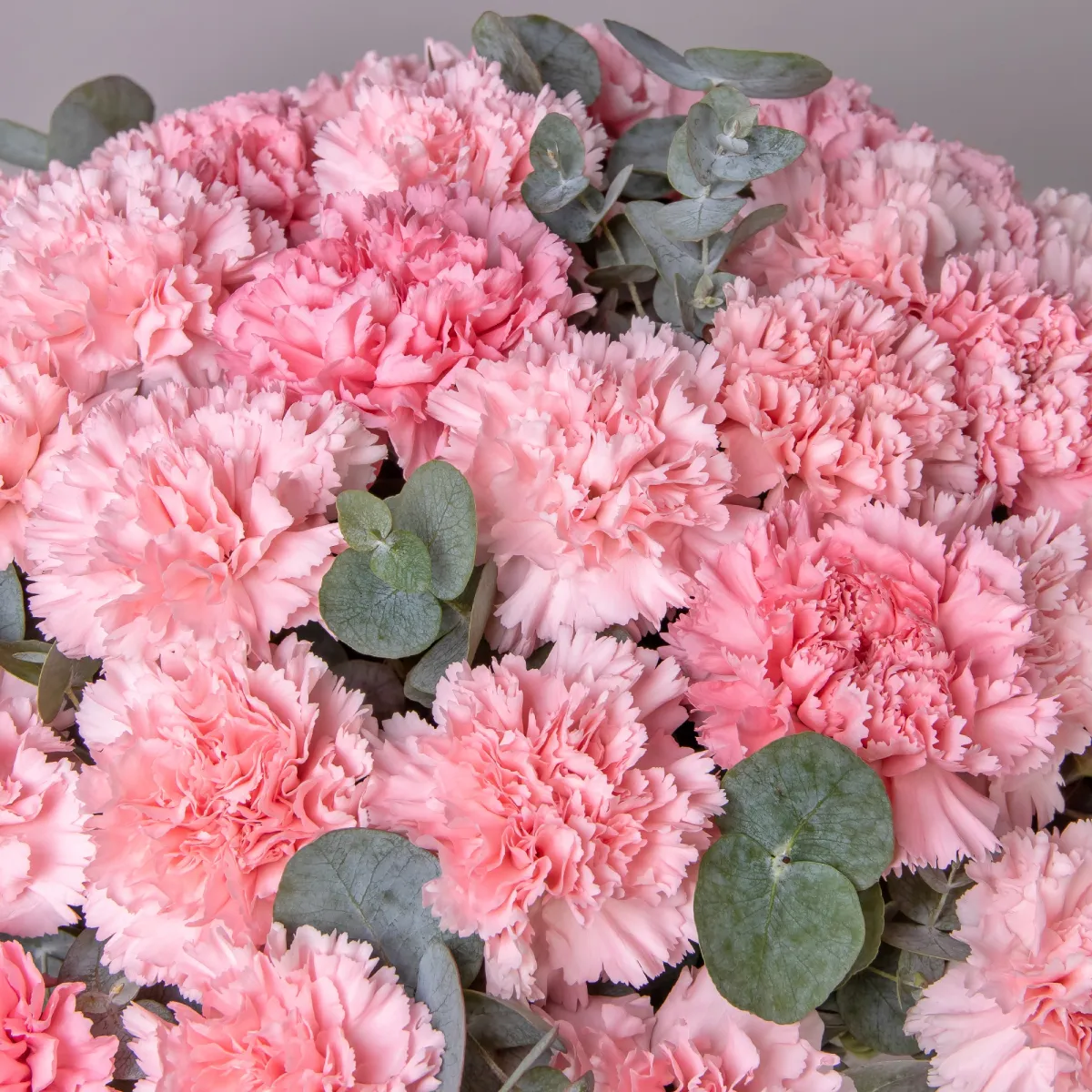 Композиция "Шляпная коробка Розовые Диантусы" XL_4