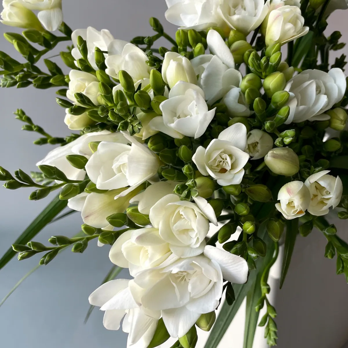 Фрезия "Эн Ван Вайт"_3