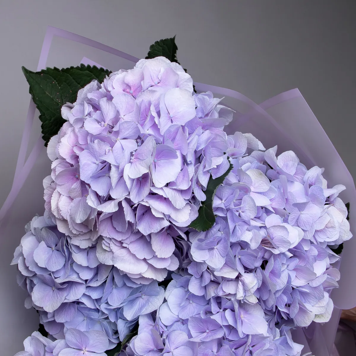 Букет Гидрангия "Лавандер"_3