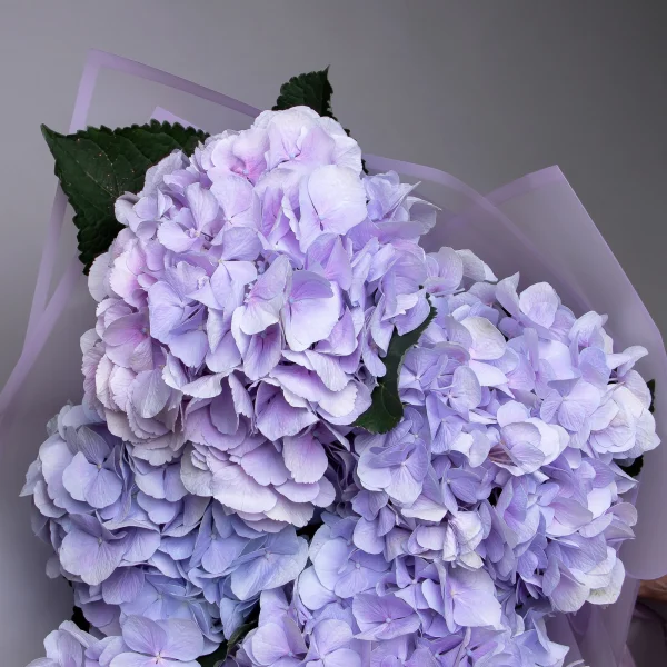 Букет Гидрангия "Лавандер"_3