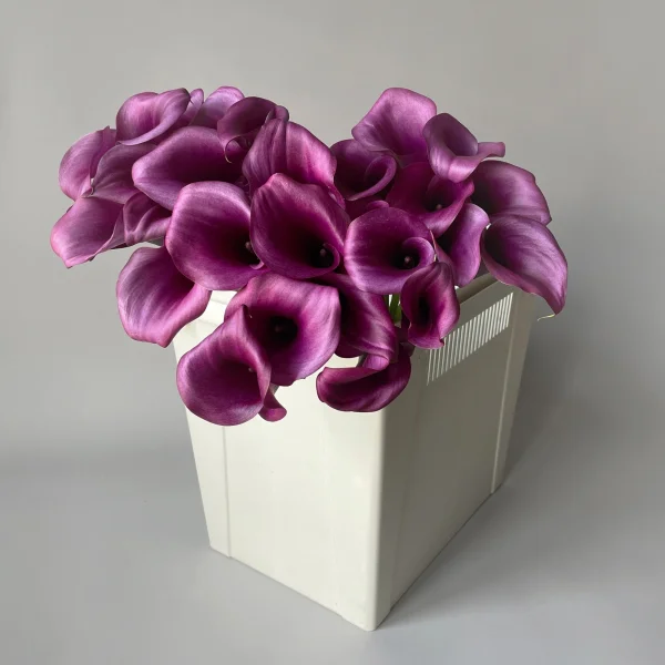 Калла "Дурбан"_1