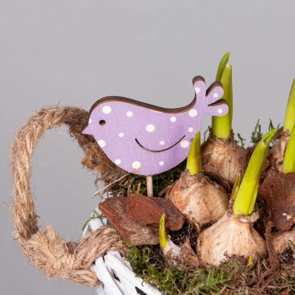 Мускари в белой корзине с ручками PTMB1142_3