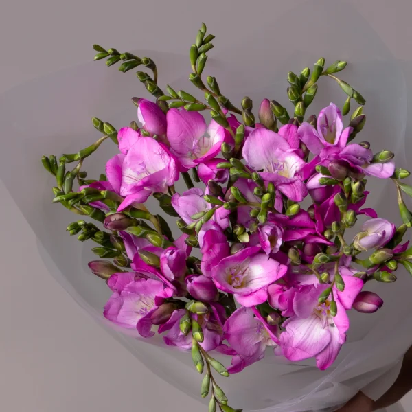 Букет Фрезия "Эн Ван Пинк"_3